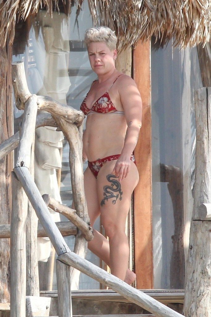 Пинк голая. Фото - 30